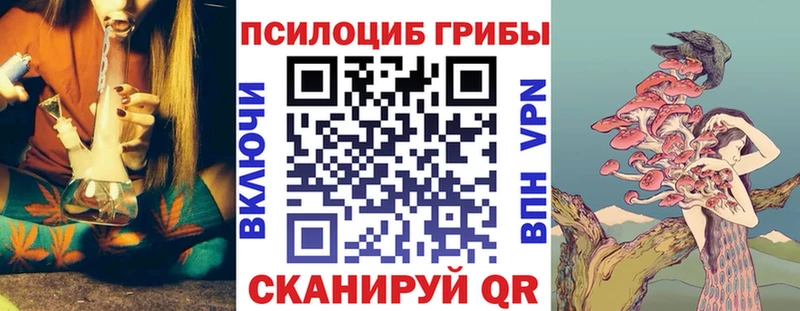 MEGA tor  Гаджиево  Псилоцибиновые грибы Psilocybine cubensis 